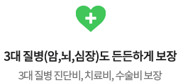 3대 질병(암, 뇌, 심장) 도 든든하게 보장 3대 질병 진단비, 치료비, 수술비 보장